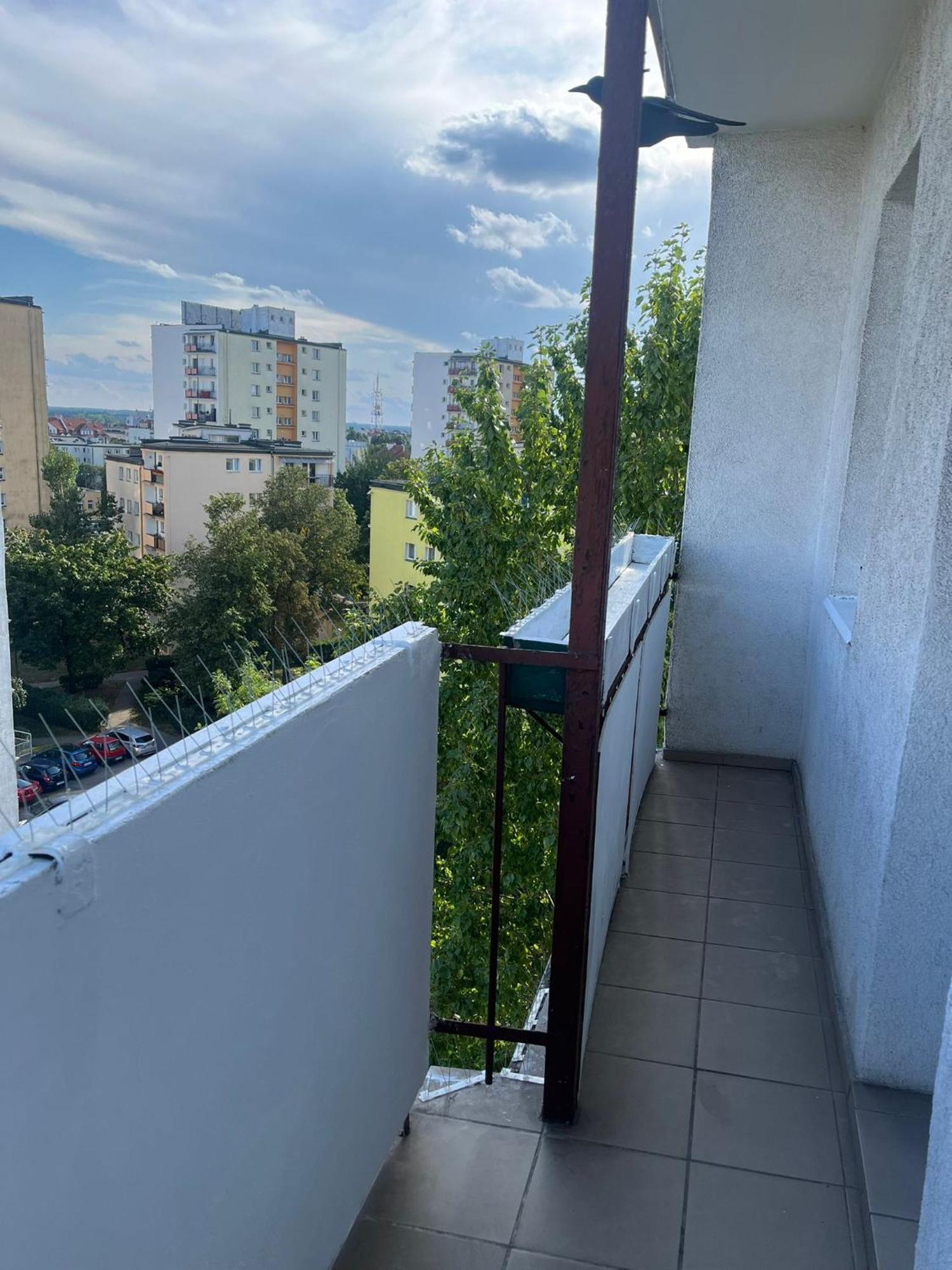 Apartament Widokowka Stary Toruń